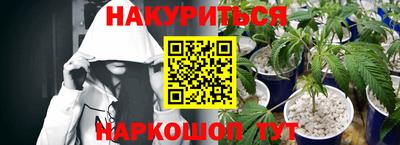 Альфа ПВП Малгобек